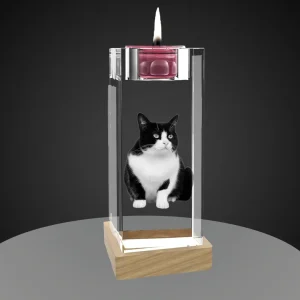 A candlestick-shaped crystal holding a lit pink tealight candle in its top holder. Inside the crystal is a 3D laser-engraved image of a black and white tuxedo cat. The crystal candlestick sits on a light-colored wooden LED base against a dark gray background.