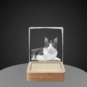 A rectangular crystal with irregular beveled edges, featuring a 3D laser engraving of a bicolor gray and white cat. The crystal sits on a wooden LED base engraved with 'My Love', set against a dark gray background.