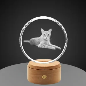 A sunflower-shaped, round diamond-cut crystal with a 3D laser-engraved monochrome photo of a lying tabby cat, set on a round wooden LED base against a gray background.