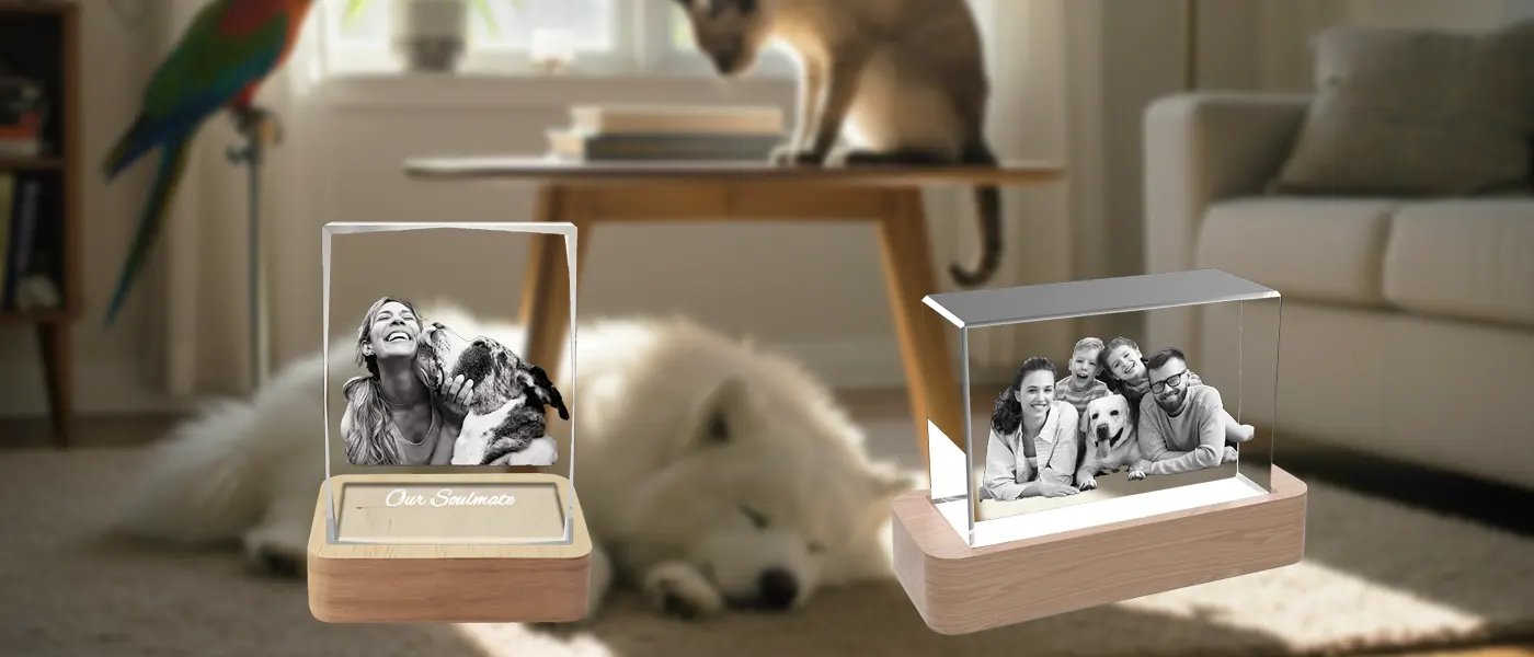 A collection of personalized 3D photo crystal gifts for pet lovers, featuring cherished portraits of pets and their owners, set in a warm living room scene with other animals.